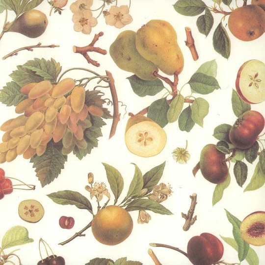Mixed Fruit Botanical Print Paper ~ Kartos Italy